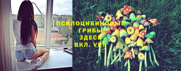 mix Аркадак